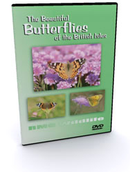 Beautiful Butterflies of the British Isles