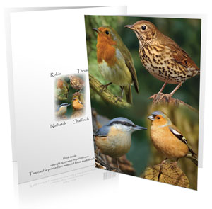 montage-wholesale-greeting-cards